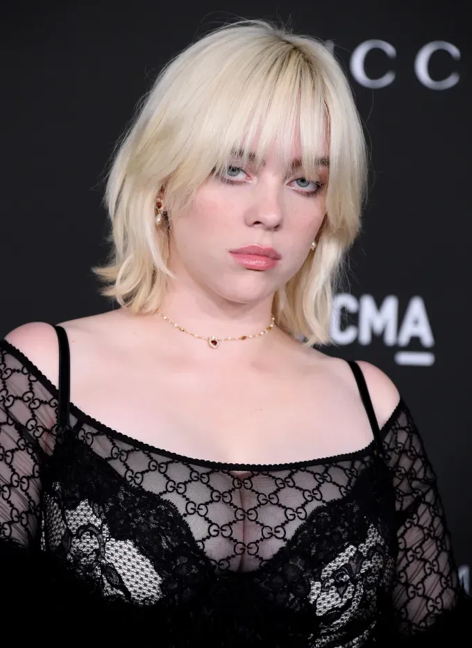 best-haircuts-for-women-smullet-billie eilish' fetchpriority='auto' title='The 18 Best Haircuts for Straight Hair According to Hairstylists