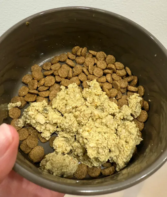the pets table dog food review fresh food mixed with kibble' title='My Pup Is the Pickiest Eater *Ever*—and Even He Loves The Pets Table Human-Grade Dog Food