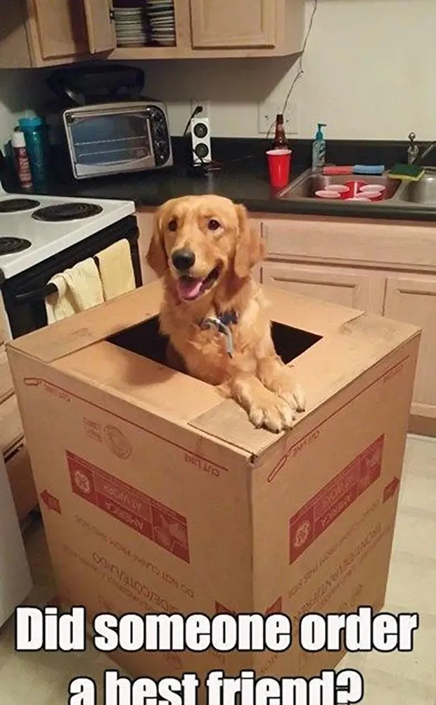 best friend memes for friendship day