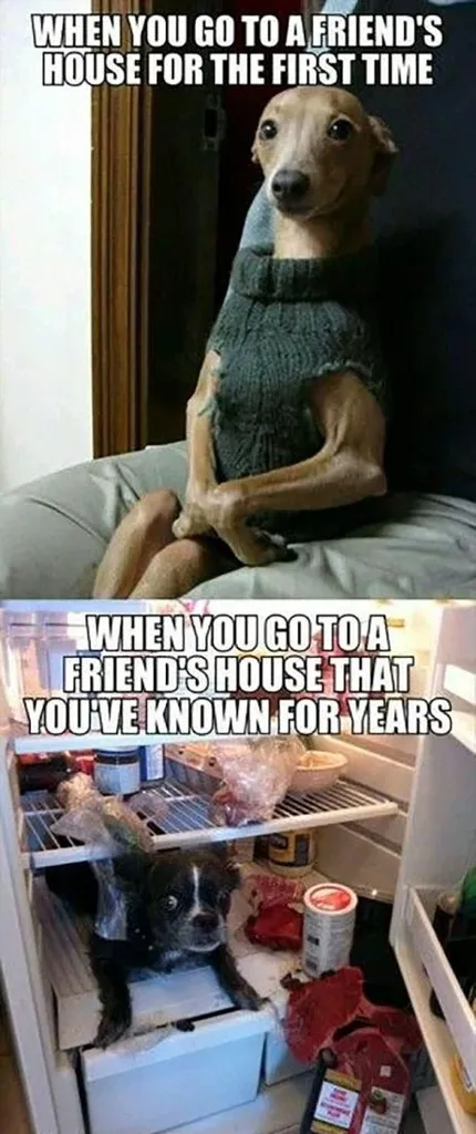 best friend memes for friendship day