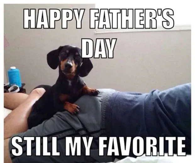 happy fathers day meme