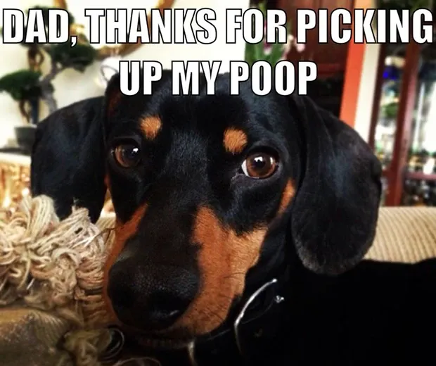 happy fathers day meme