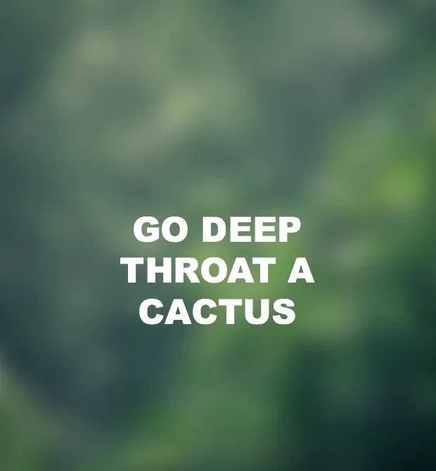 111 Ways To Say F*ck You While Keeping It Classy