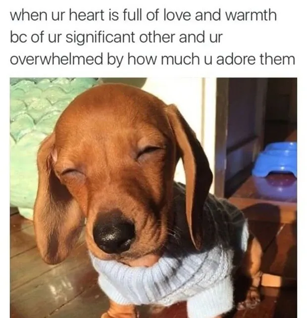 30 Funny (& Totally Accurate) Girlfriend Memes To Share With Your Best Girlfriend Ever