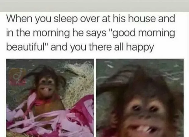 30 Funny (& Totally Accurate) Girlfriend Memes To Share With Your Best Girlfriend Ever