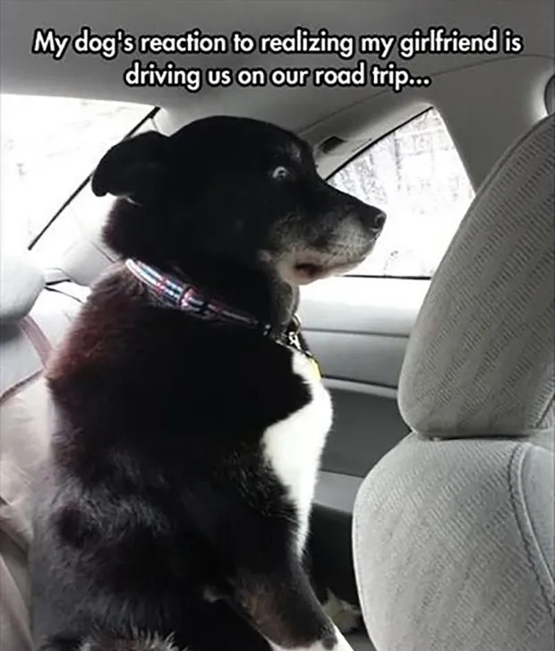 30 Funny (& Totally Accurate) Girlfriend Memes To Share With Your Best Girlfriend Ever