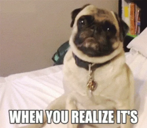 50 Funny Wednesday Quotes & Hump Day Memes To Get You Through The Rest Of This Week