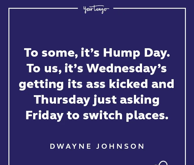 50 Funny Wednesday Quotes & Hump Day Memes To Get You Through The Rest Of This Week