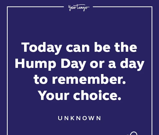 50 Funny Wednesday Quotes & Hump Day Memes To Get You Through The Rest Of This Week