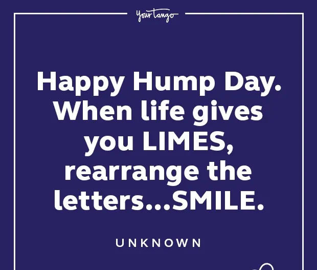 50 Funny Wednesday Quotes & Hump Day Memes To Get You Through The Rest Of This Week