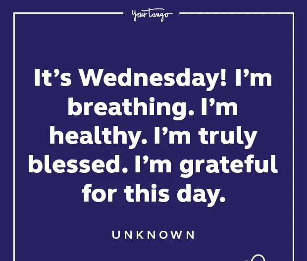 50 Funny Wednesday Quotes & Hump Day Memes To Get You Through The Rest Of This Week