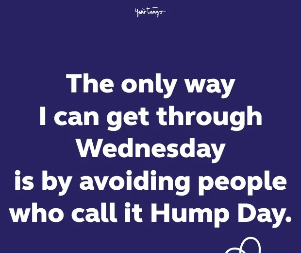 50 Funny Wednesday Quotes & Hump Day Memes To Get You Through The Rest Of This Week