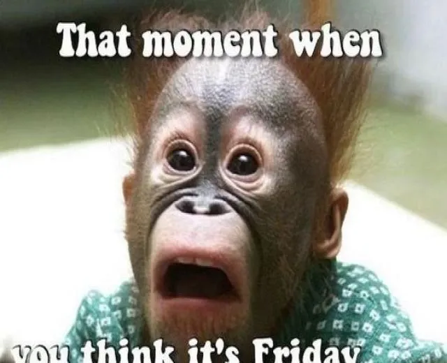 50 Funny Wednesday Quotes & Hump Day Memes To Get You Through The Rest Of This Week