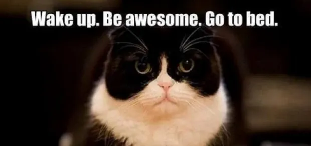 These 39 Motivational Memes Will Help You Carpe Diem!