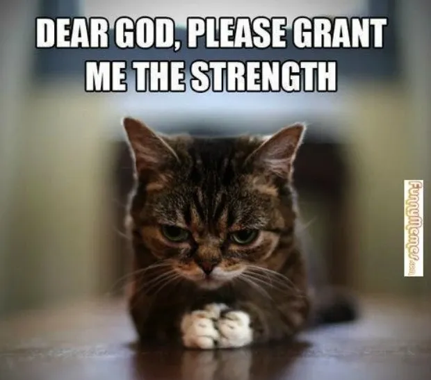 These 39 Motivational Memes Will Help You Carpe Diem!