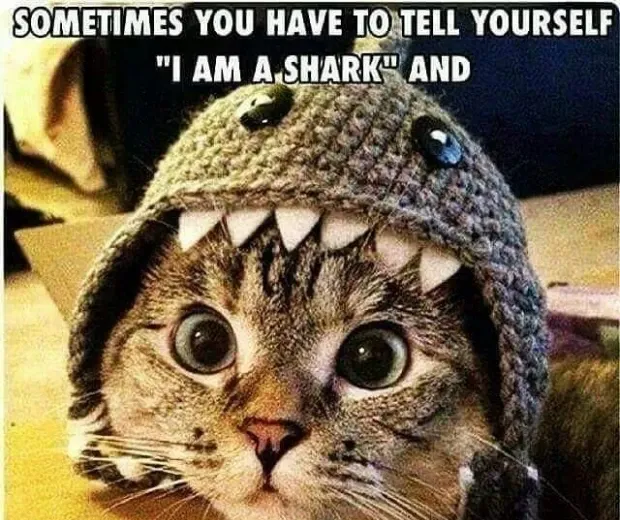 These 39 Motivational Memes Will Help You Carpe Diem!