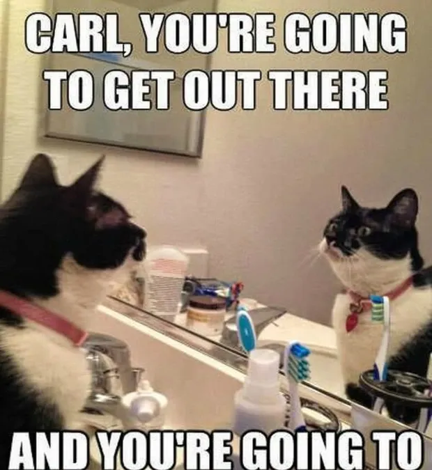 These 39 Motivational Memes Will Help You Carpe Diem!