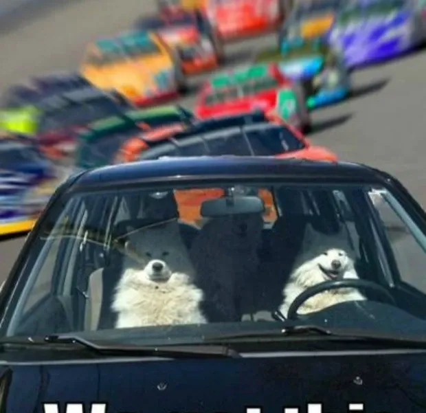 These 39 Motivational Memes Will Help You Carpe Diem!