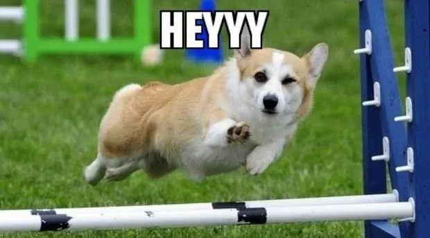 These 39 Motivational Memes Will Help You Carpe Diem!