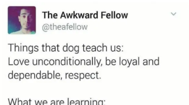 Hilarious Memes About Doggy Style' title='Hilarious Memes About Doggy Style' typeof='foaf:Image' decoding='async