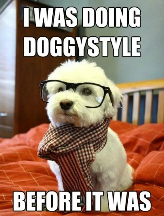 Hilarious Memes About Doggy Style' title='Hilarious Memes About Doggy Style' typeof='foaf:Image' decoding='async