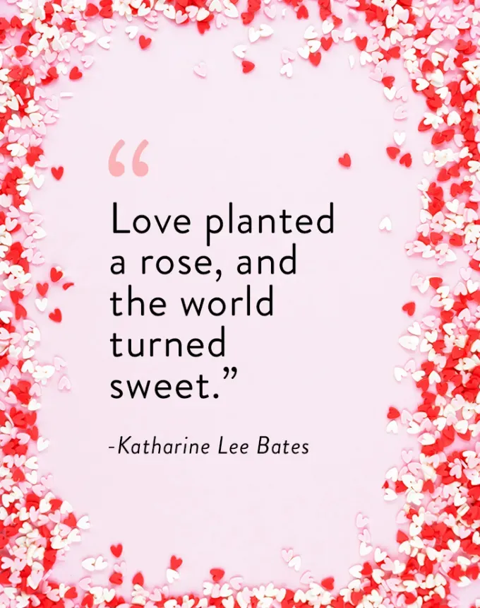valentine’s day quotes: Love planted a rose and the world turned sweet. Katharine Lee Bates' fetchpriority='auto' title='102 Valentine’s Day Quotes to Share with Anyone You Love