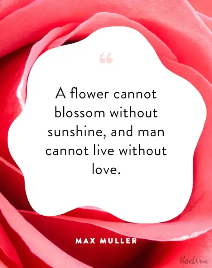 valentine’s day quotes: A flower cannot blossom without sunshine and man cannot live without love. max muller' fetchpriority='auto' title='102 Valentine’s Day Quotes to Share with Anyone You Love