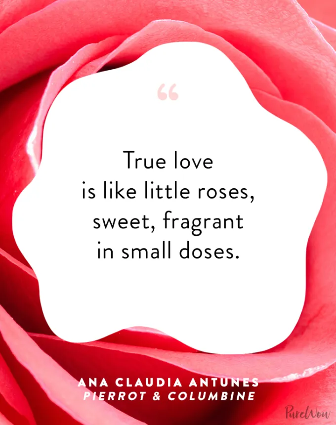 valentine’s day quotes: True love is like little roses sweet fragrant in small doses. Ana Claudia Antunes' fetchpriority='auto' title='102 Valentine’s Day Quotes to Share with Anyone You Love