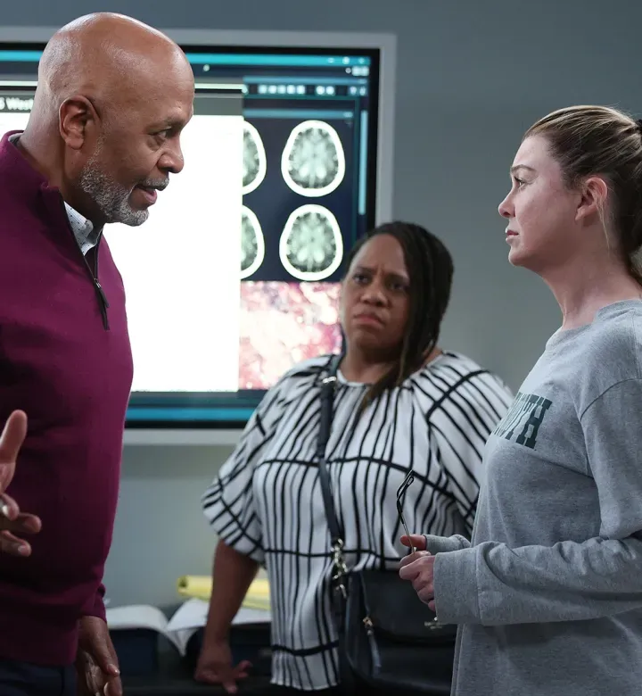 Je „Grey's Anatomy“ přesná? Požádali jsme lékařské odborníky, aby zvážili