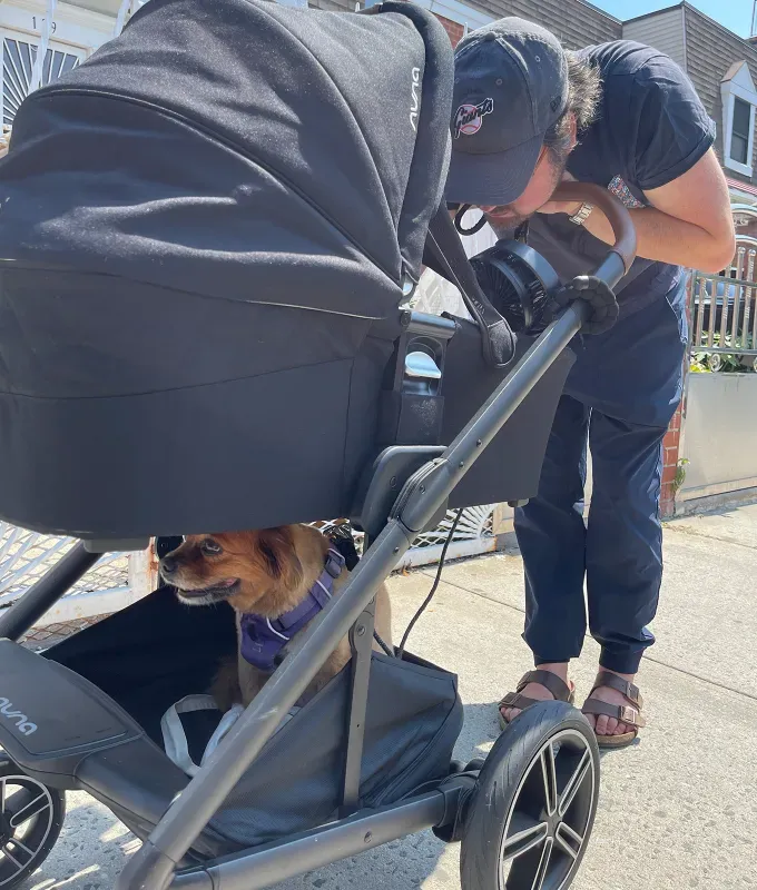 The bassinet feature on the Nuna MIXX Next' fetchpriority='auto' title='Nuna vs. UPPAbaby Strollers: Which One Is Right For You (and Baby…and Baby)?