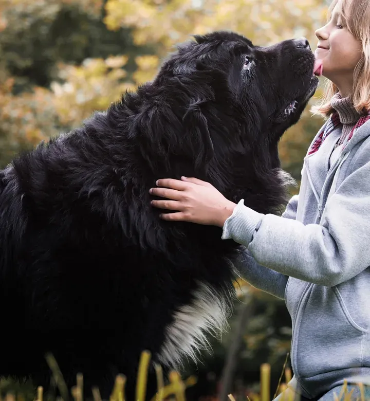 21 große Hunderassen, die im Grunde genommen riesige Teddybären sind