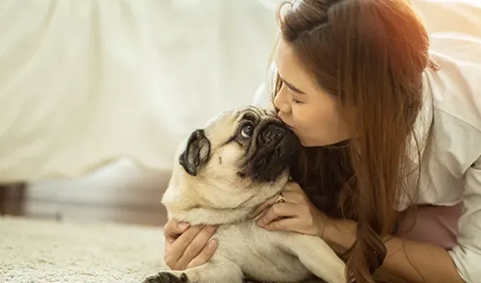 best-emotional-support-dogs-pug' fetchpriority='auto' title='The Best Emotional Support Dogs for People with Anxiety According to Experts