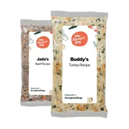 Is Human-Grade Dog Food Worth It? Vets Weigh in on Their 10 Favorite Brands