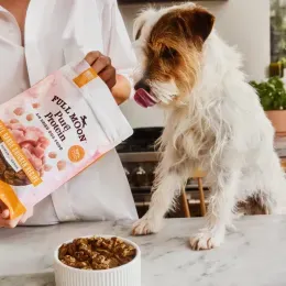Is Human-Grade Dog Food Worth It? Vets Weigh in on Their 10 Favorite Brands