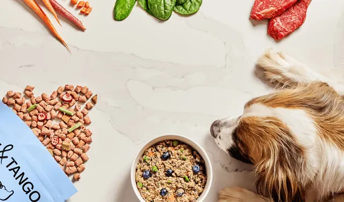 human-grade-dog: a dog laying next to a bag of spilled out spot and tango kibble' title='Is Human-Grade Dog Food Worth It? Vets Weigh in on Their 10 Favorite Brands