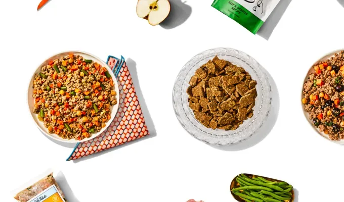 human-grade-dog: bowls of the pets table dog food' title='Is Human-Grade Dog Food Worth It? Vets Weigh in on Their 10 Favorite Brands