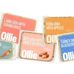 Is Human-Grade Dog Food Worth It? Vets Weigh in on Their 10 Favorite Brands