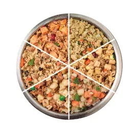 Is Human-Grade Dog Food Worth It? Vets Weigh in on Their 10 Favorite Brands