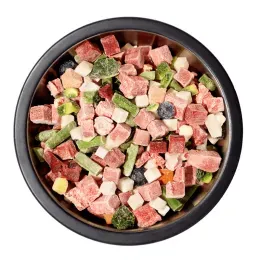 Is Human-Grade Dog Food Worth It? Vets Weigh in on Their 10 Favorite Brands