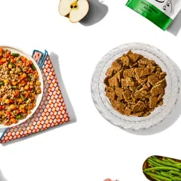 Is Human-Grade Dog Food Worth It? Vets Weigh in on Their 10 Favorite Brands