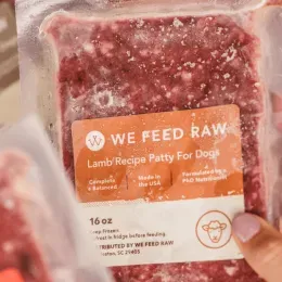 Is Human-Grade Dog Food Worth It? Vets Weigh in on Their 10 Favorite Brands