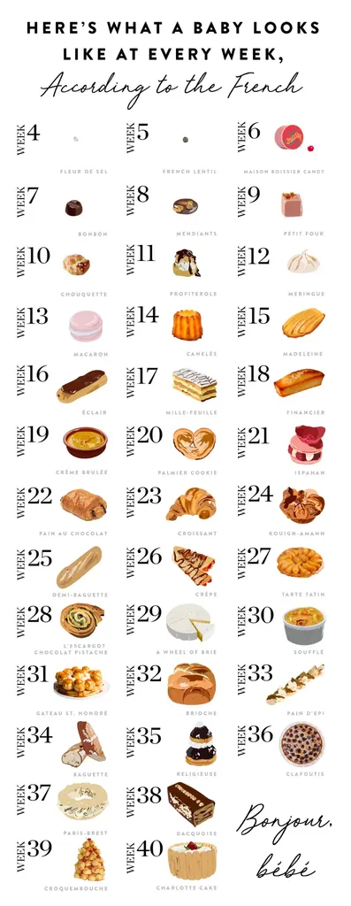 Tässä on mitä vauva näyttää joka viikko, ranskalaisten mukaan