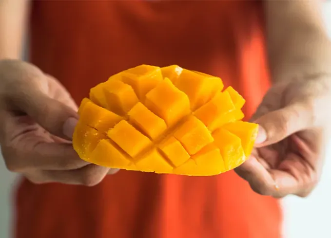 what fruits can dogs eat mango' fetchpriority='auto' title='What Fruits Can Dogs Eat? Here’s What’s OK and What to Avoid According to Veterinarians