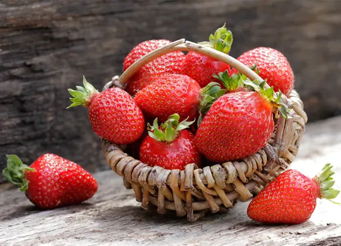 what fruits can dogs eat strawberries' fetchpriority='auto' title='What Fruits Can Dogs Eat? Here’s What’s OK and What to Avoid According to Veterinarians
