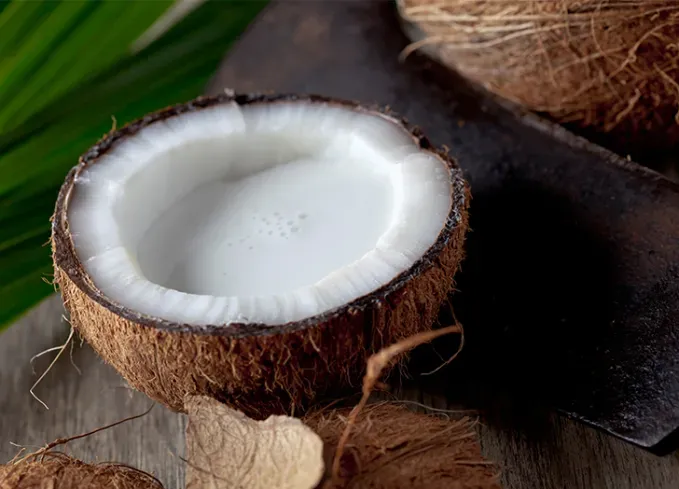 what fruits can dogs eat coconut' fetchpriority='auto' title='What Fruits Can Dogs Eat? Here’s What’s OK and What to Avoid According to Veterinarians