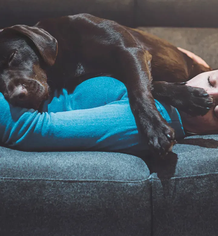14 Allekirjoittaa koirasi rakastaa sinua: Kuinka koirat osoittavat sinulle rakkautta?