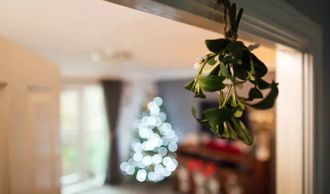 french christmas traditions-A mistletoe hangs over a doorway that looks into a room with a lit up Christmas tree. The tree and the surrounding area are blurry.' fetchpriority='auto' title='15 French Christmas Traditions That Are Oh-So Charming