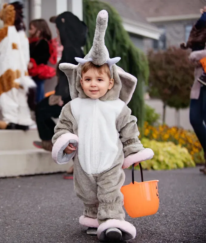 last minute halloween costume ideas for kids: elephant' fetchpriority='auto' title='53 Last-Minute Halloween Costume Ideas for Kids in 2025