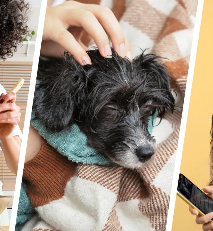 Mietitkö mitä tehdä, kun olet kyllästynyt? Tässä on 105 hauskaa tekemistä millä tahansa mielialassa