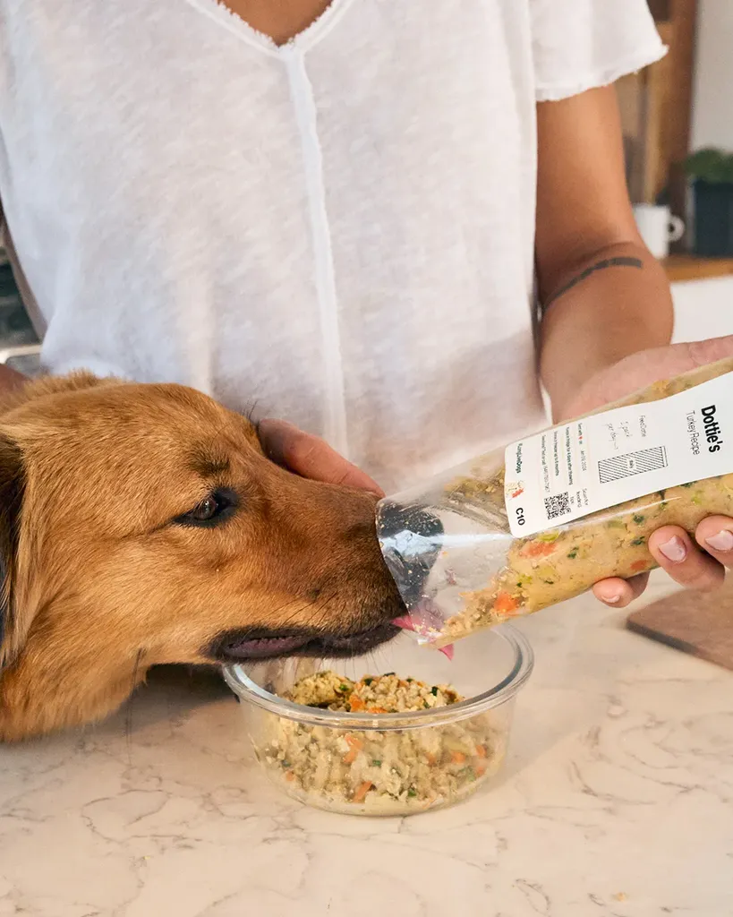 Találkozzon a Farmer's Kutyával: Friss ételek, amelyeket állatorvosok fogalmaznak meg, és a kutyák szeretik